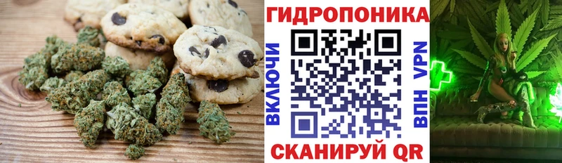 хочу   blacksprut как войти  Печенье с ТГК марихуана  Гудермес 