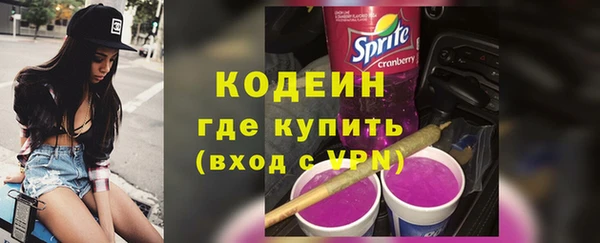 шишки Белоозёрский