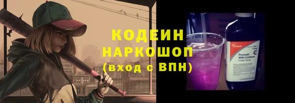 шишки Белоозёрский