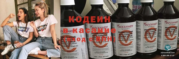 шишки Белоозёрский