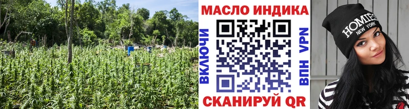 наркотики  Гудермес  Дистиллят ТГК жижа 