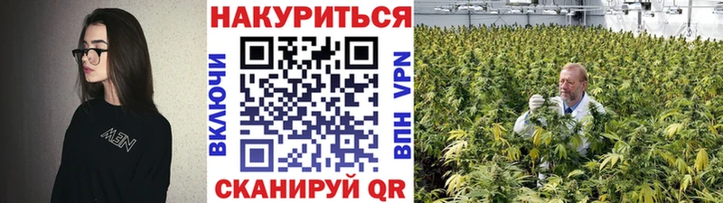 Конопля гибрид  hydra маркетплейс  Гудермес 